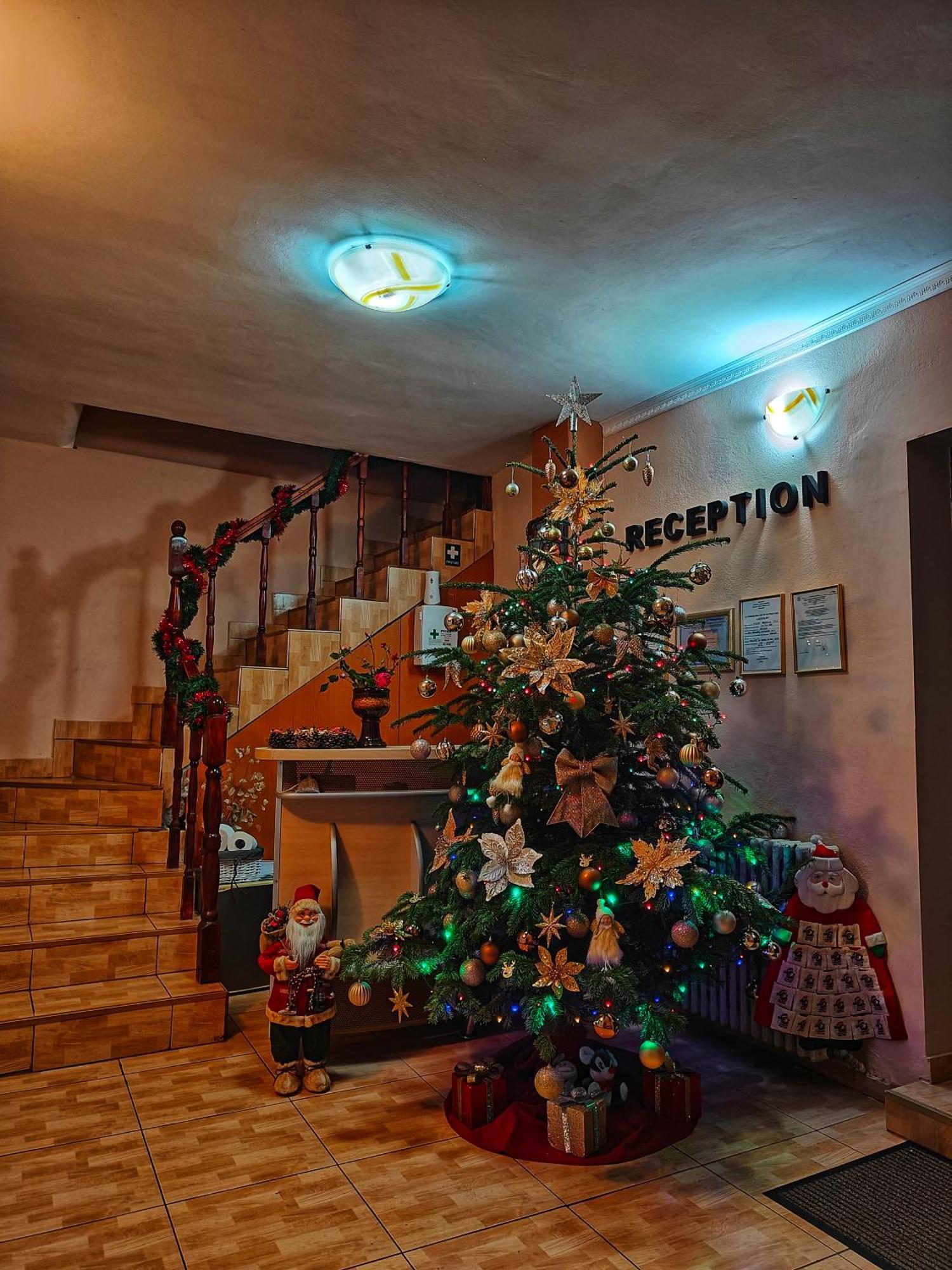 Casa Miclau Apartment Băile Herculane Exterior photo
