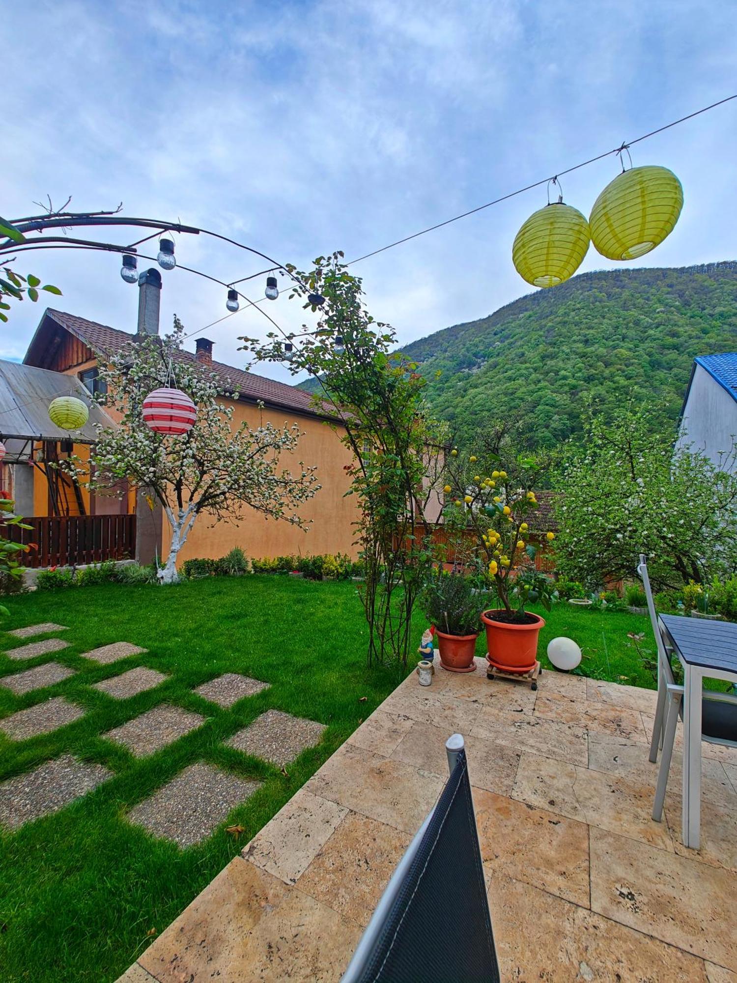 Casa Miclau Apartment Băile Herculane Exterior photo